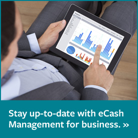 CS-eCash-Management